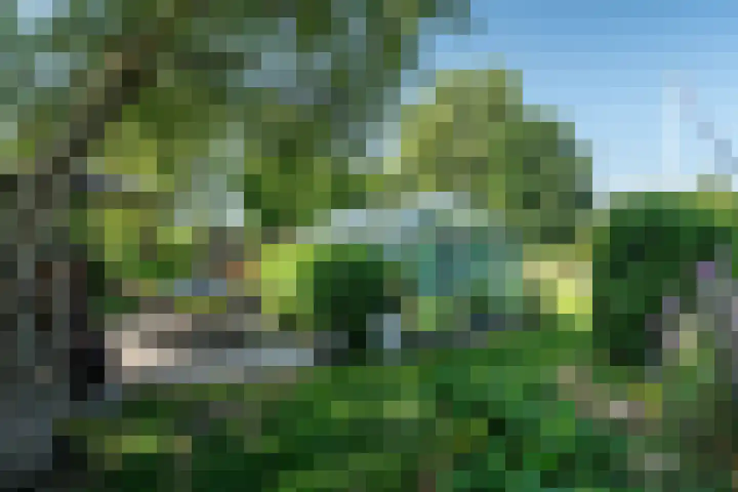 Mouwewei 2 Terwispel thumbnail 15