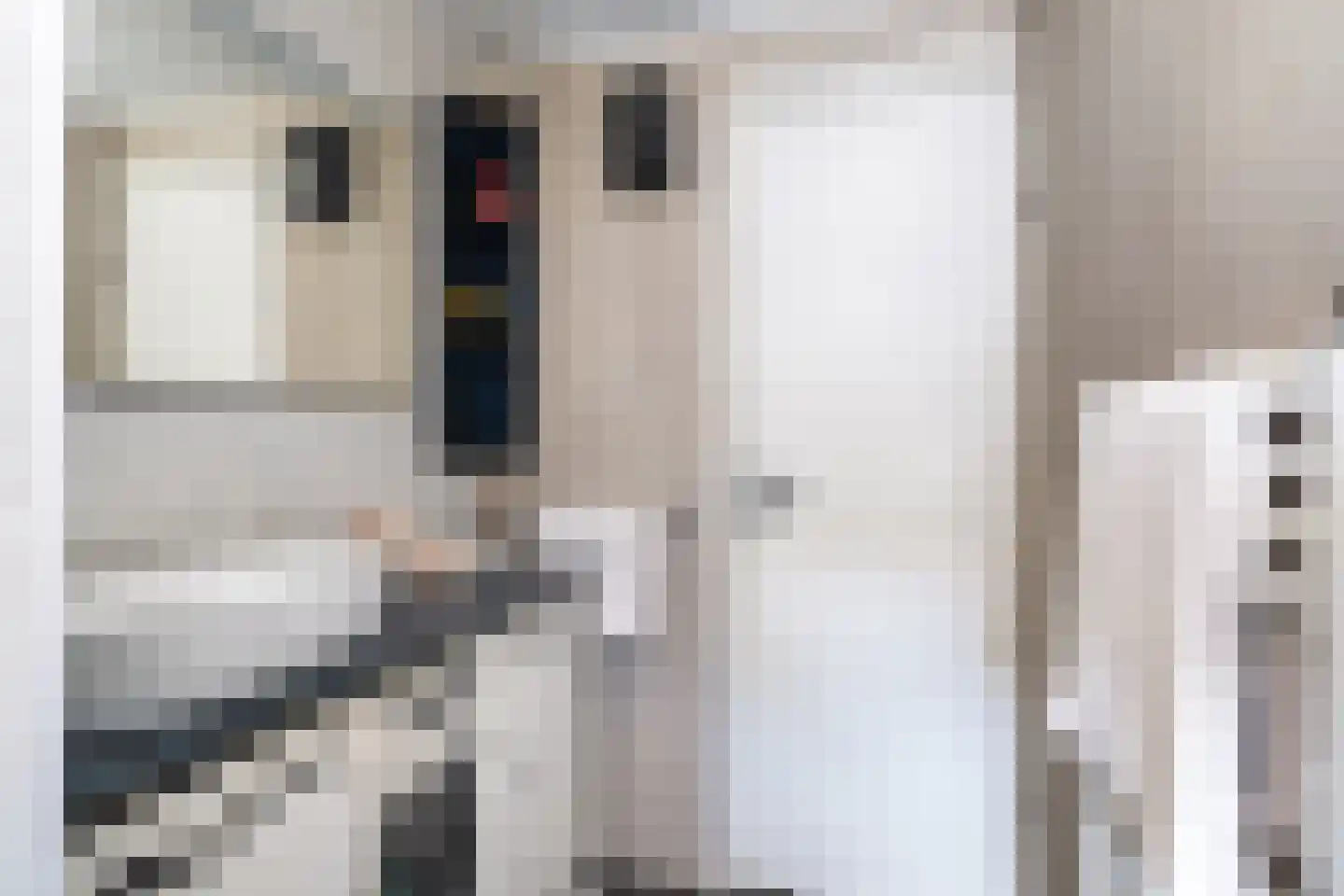 Mouwewei 2 Terwispel thumbnail 27