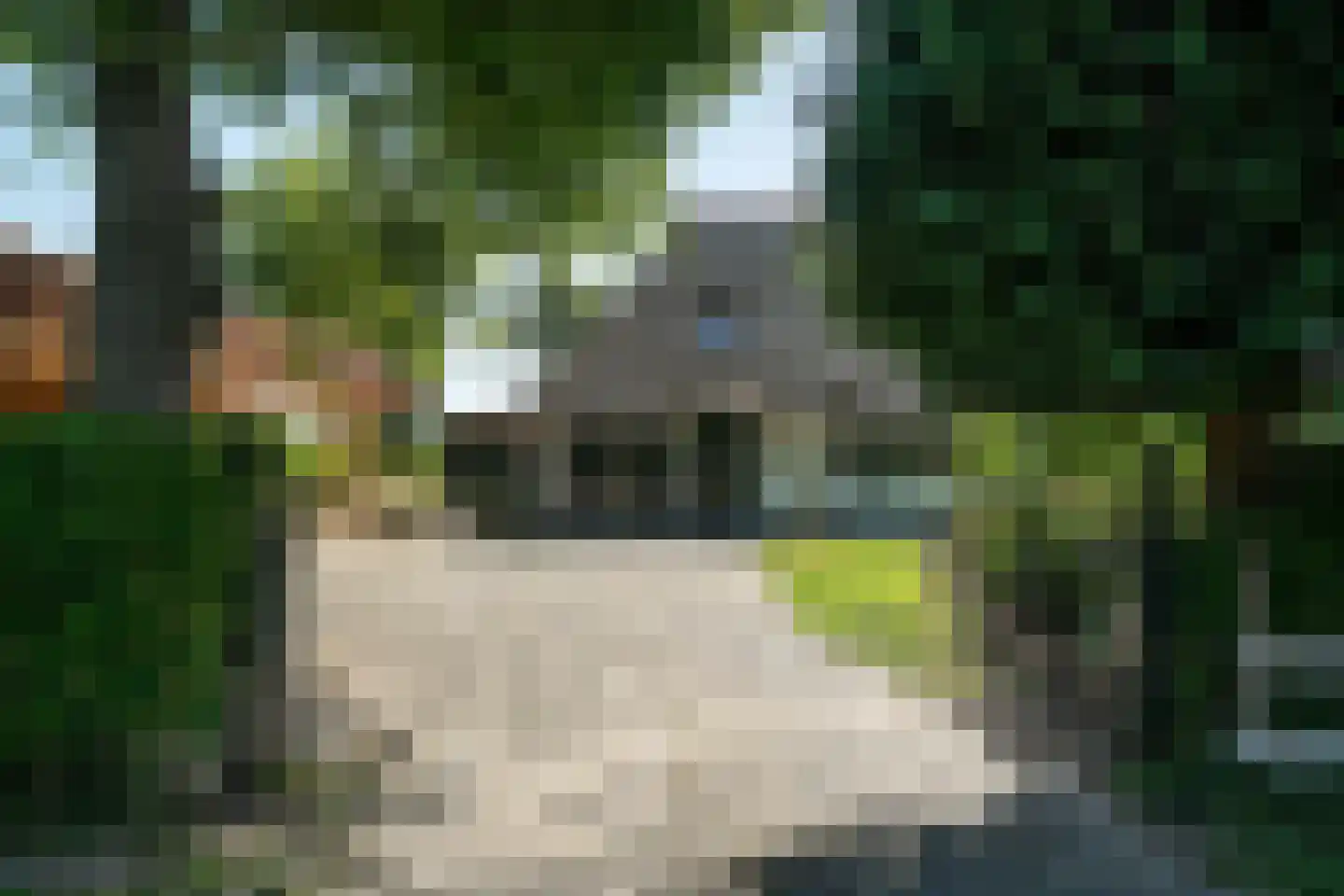 Mouwewei 2 Terwispel foto 3
