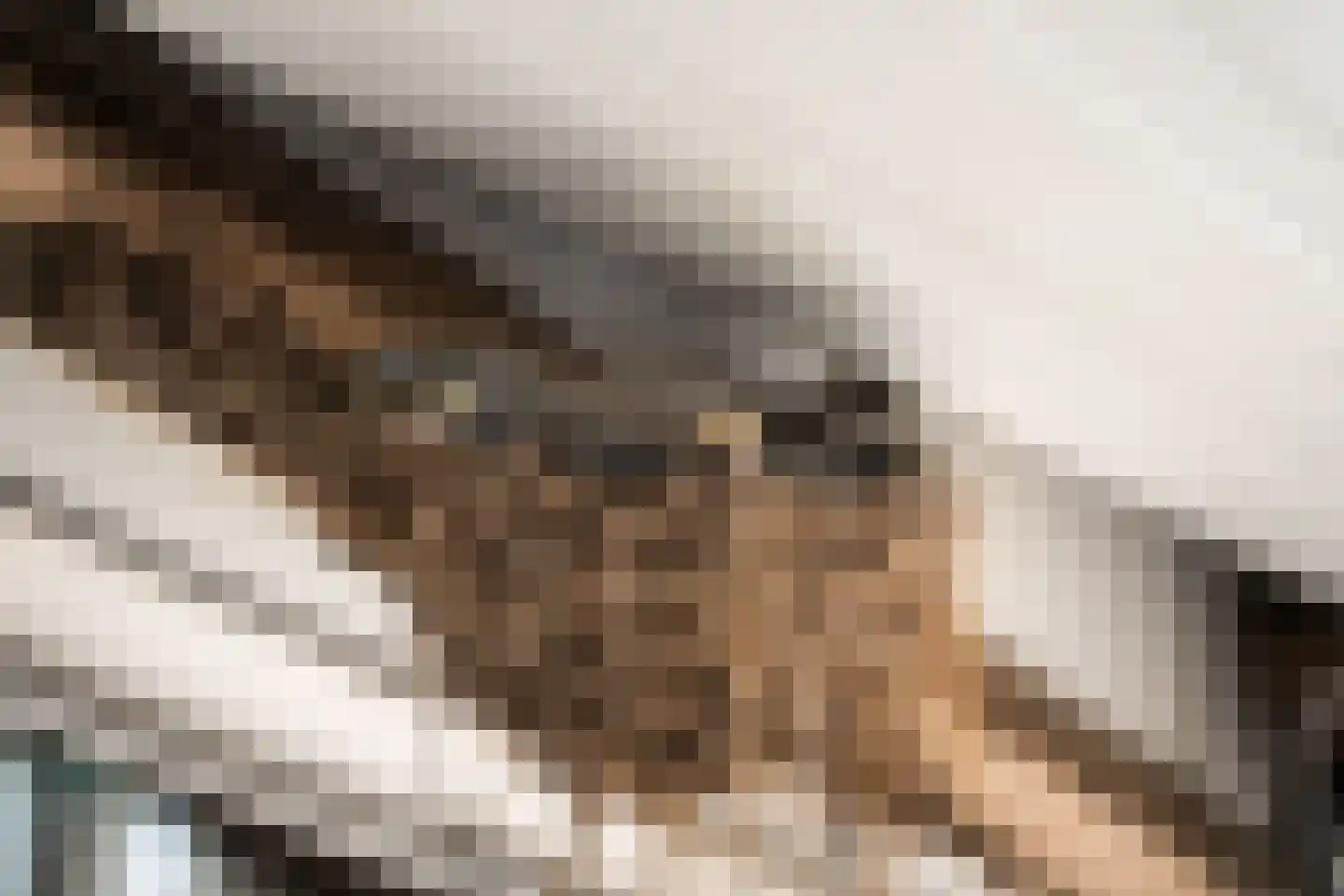 Mouwewei 2 Terwispel thumbnail 40