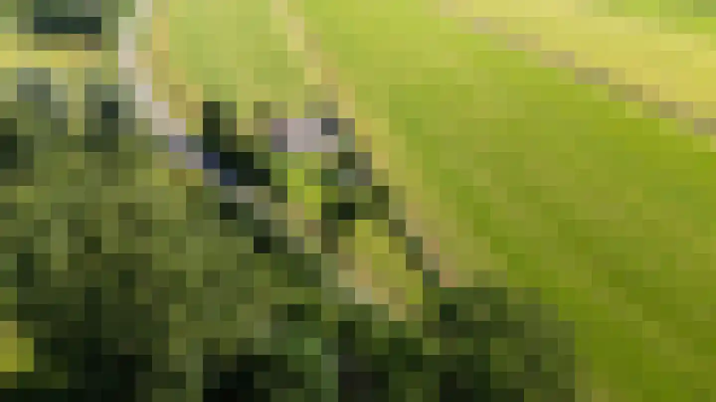 Mouwewei 2 Terwispel thumbnail 41