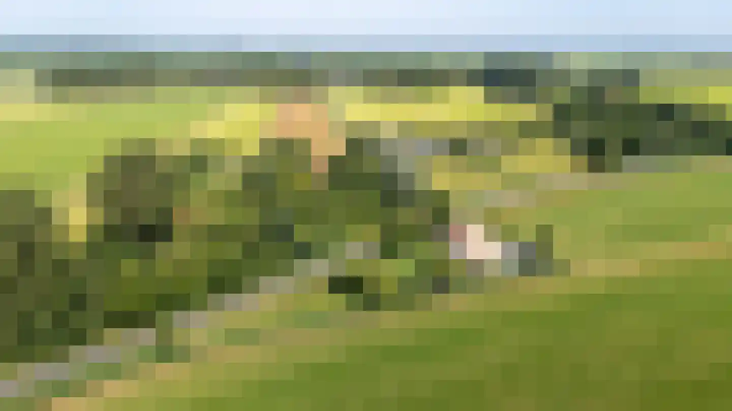 Mouwewei 2 Terwispel thumbnail 42