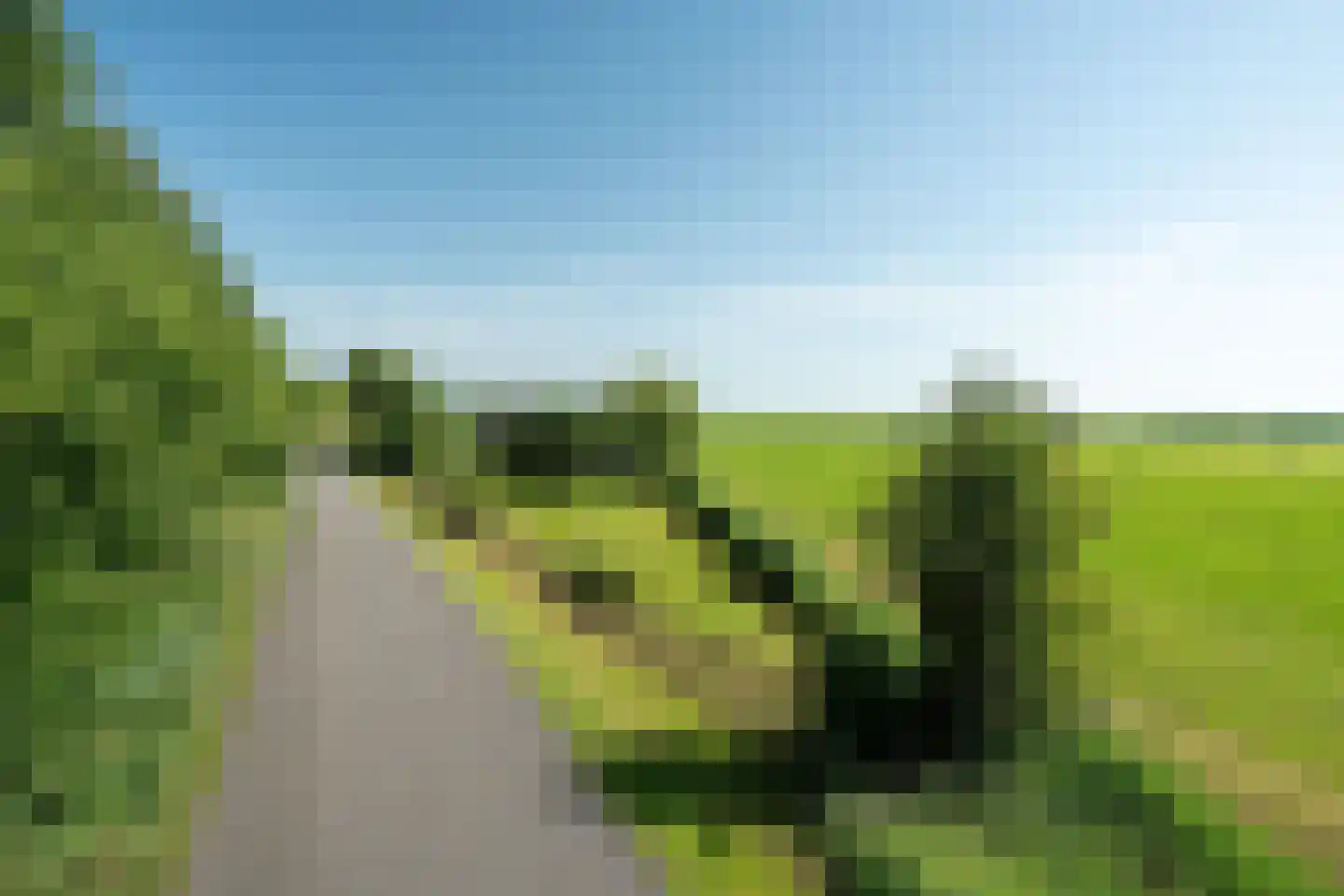 Mouwewei 2 Terwispel thumbnail 43