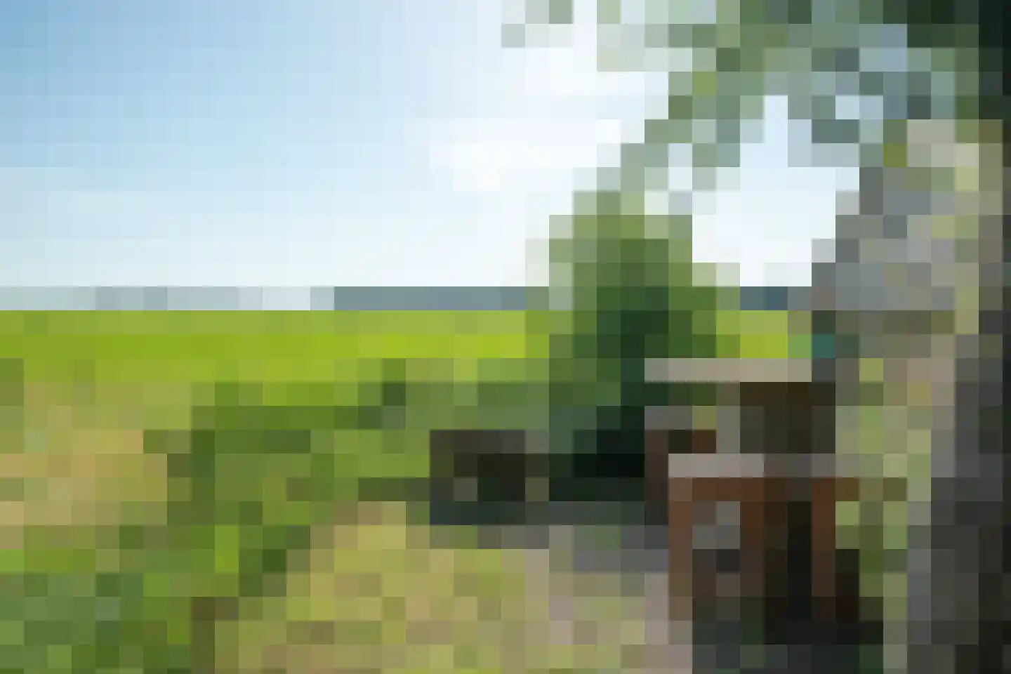 Mouwewei 2 Terwispel thumbnail 45