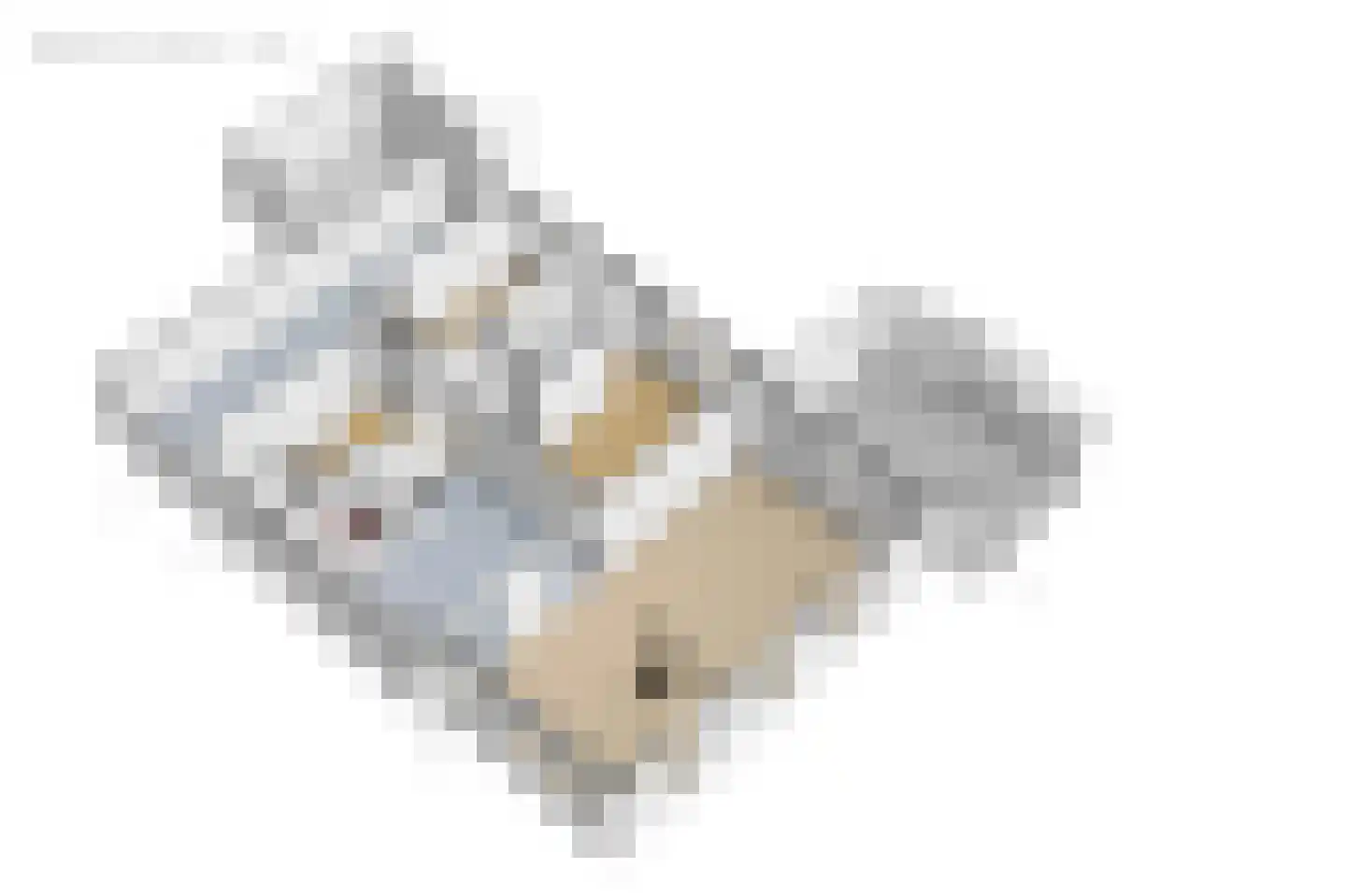 Mouwewei 2 Terwispel thumbnail 50