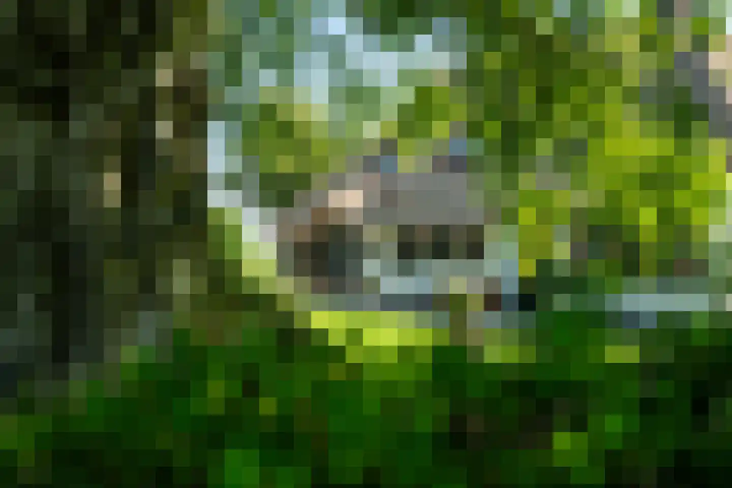 Mouwewei 2 Terwispel thumbnail 6