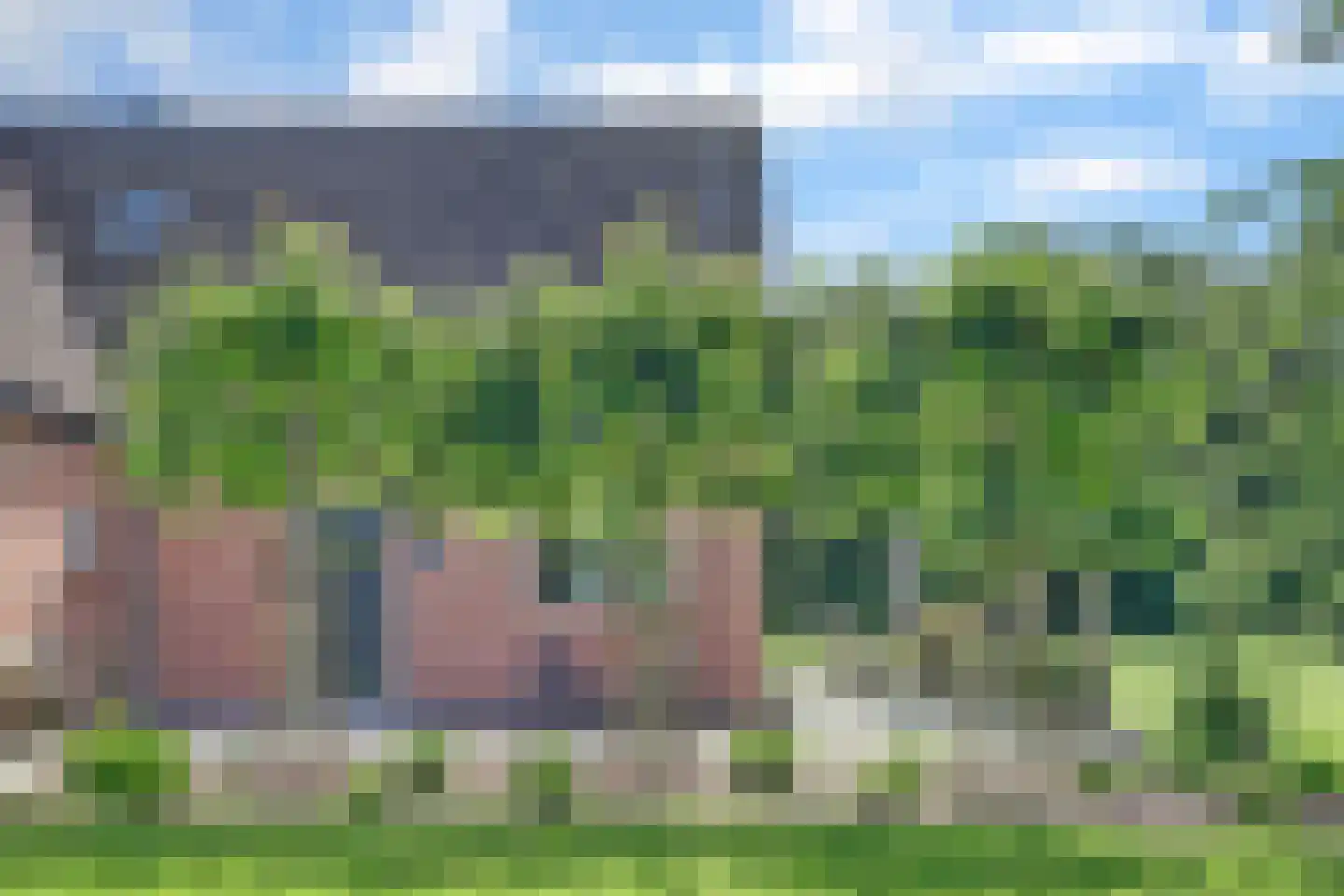 Mouwewei 8 Terwispel thumbnail 11