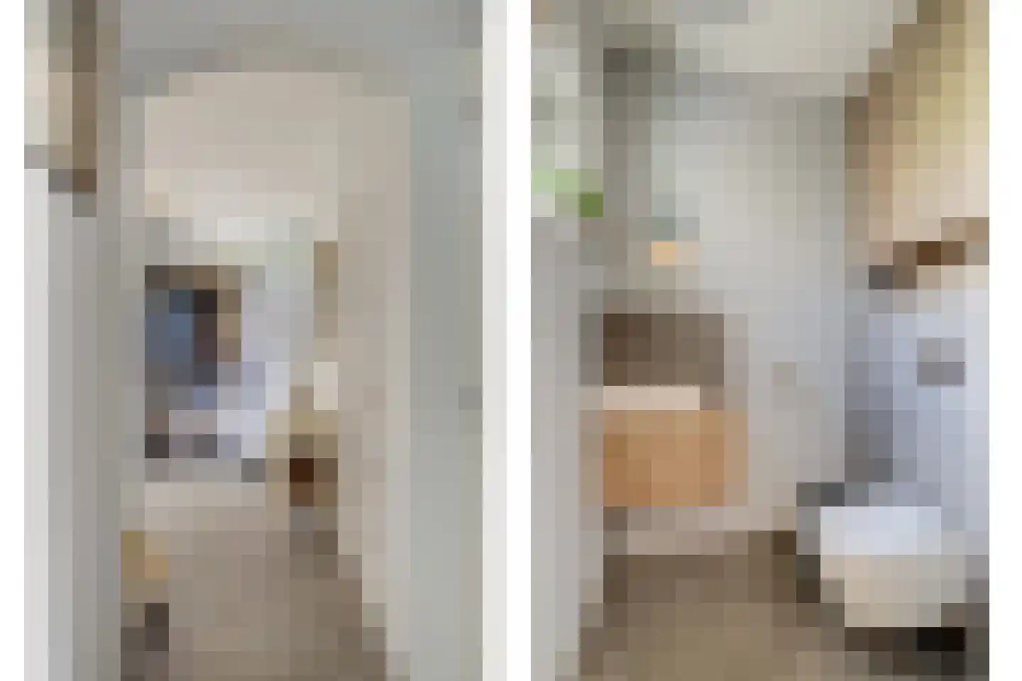 Mouwewei 8 Terwispel thumbnail 13