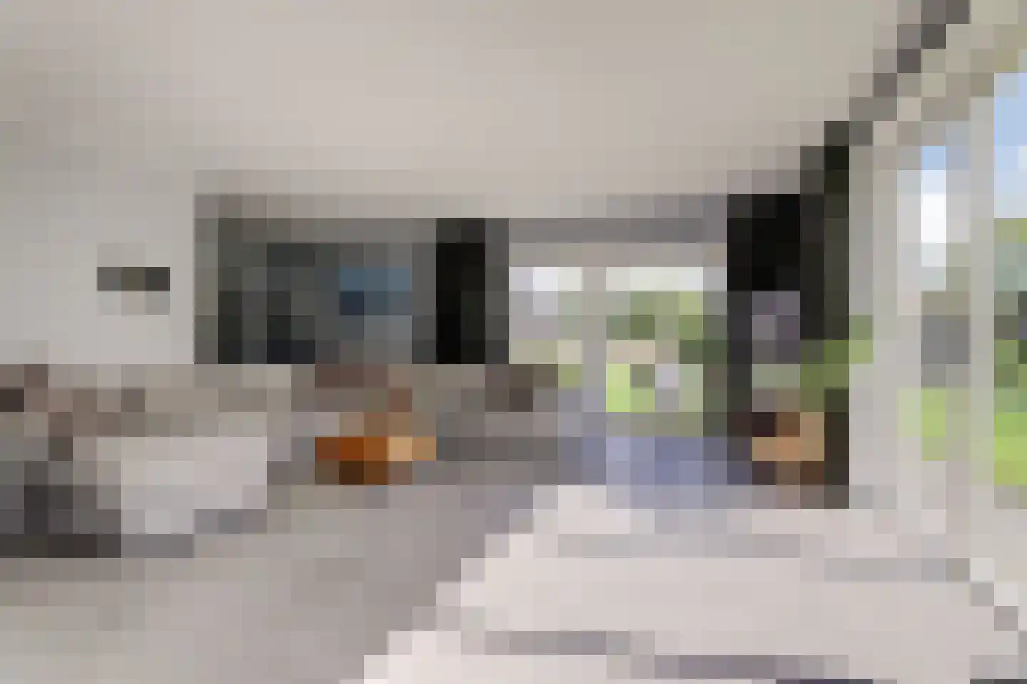 Mouwewei 8 Terwispel thumbnail 15