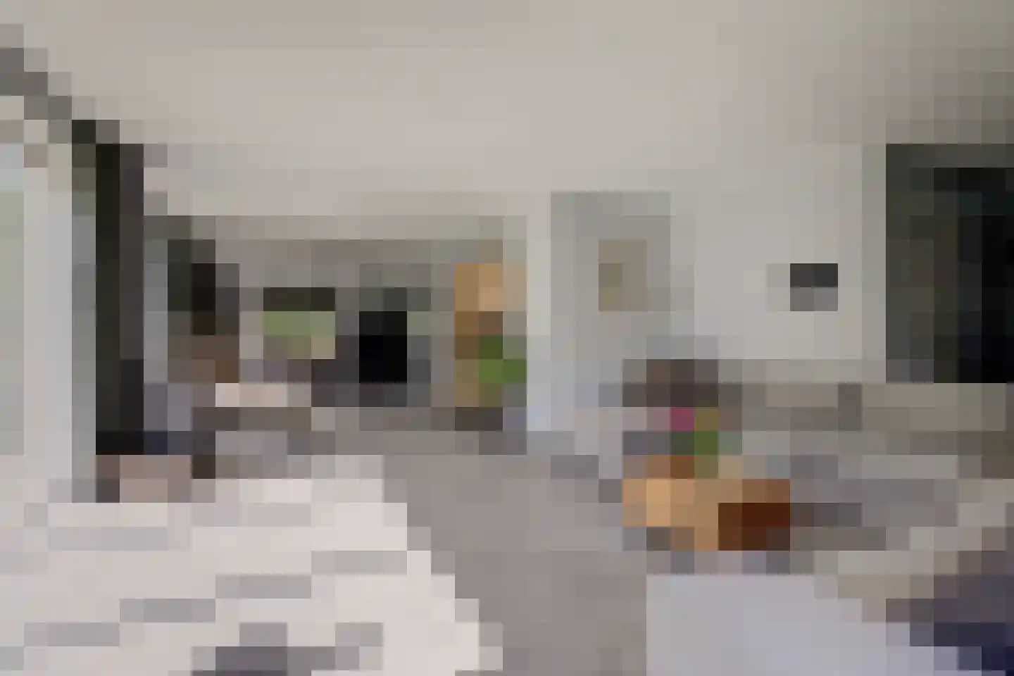 Mouwewei 8 Terwispel thumbnail 17