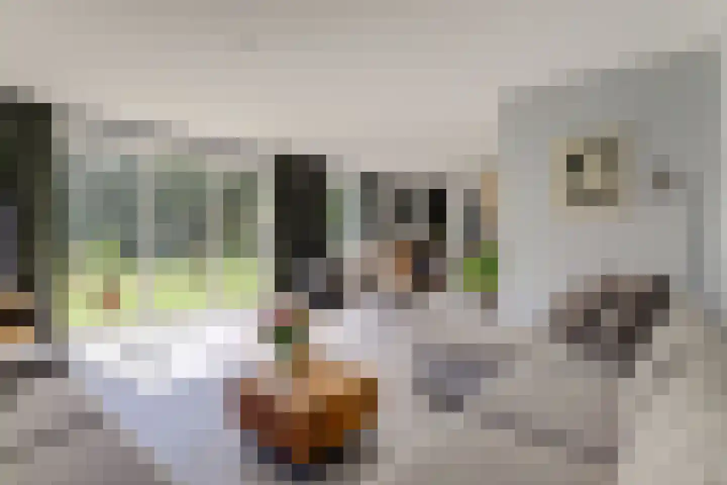 Mouwewei 8 Terwispel thumbnail 18