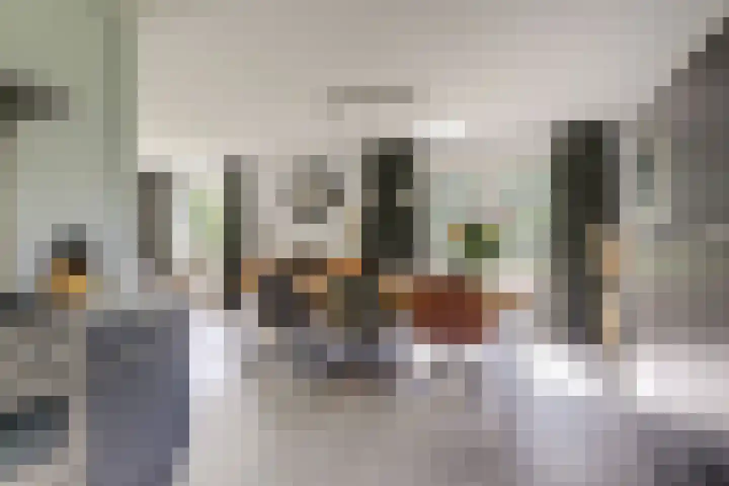 Mouwewei 8 Terwispel thumbnail 20