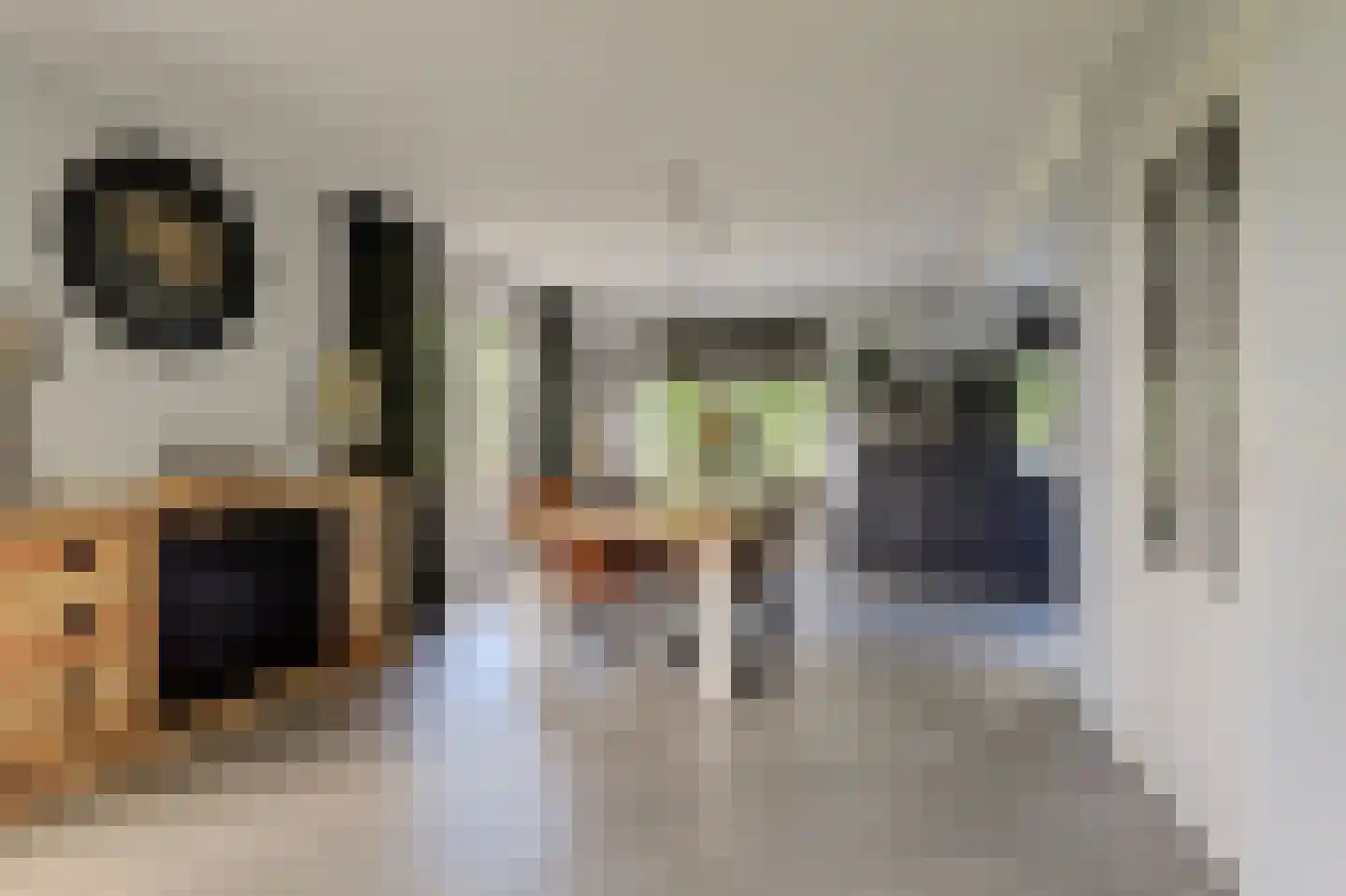Mouwewei 8 Terwispel thumbnail 22