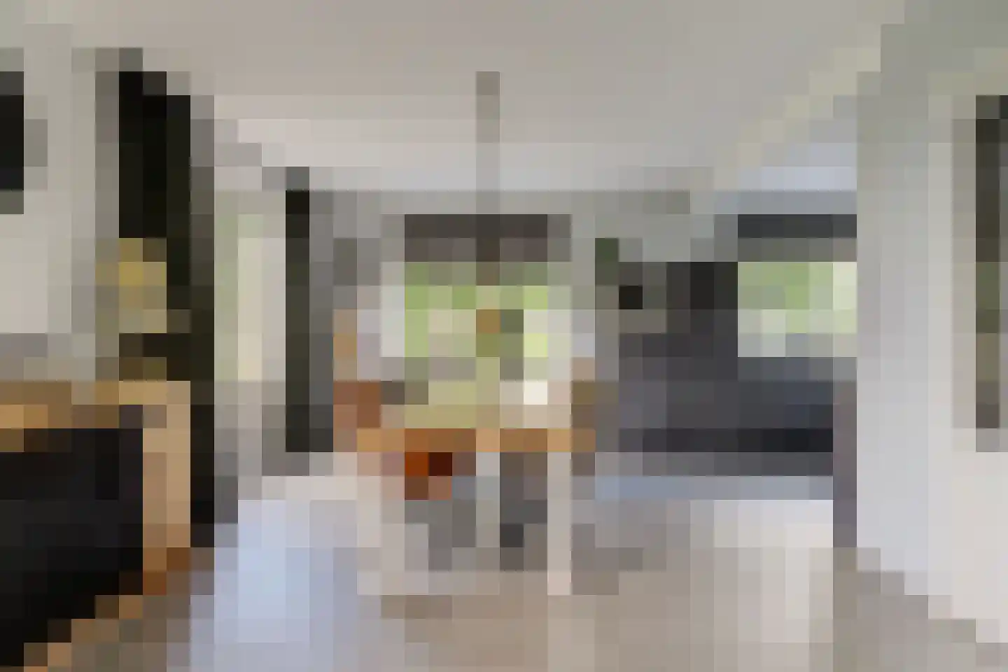 Mouwewei 8 Terwispel thumbnail 23