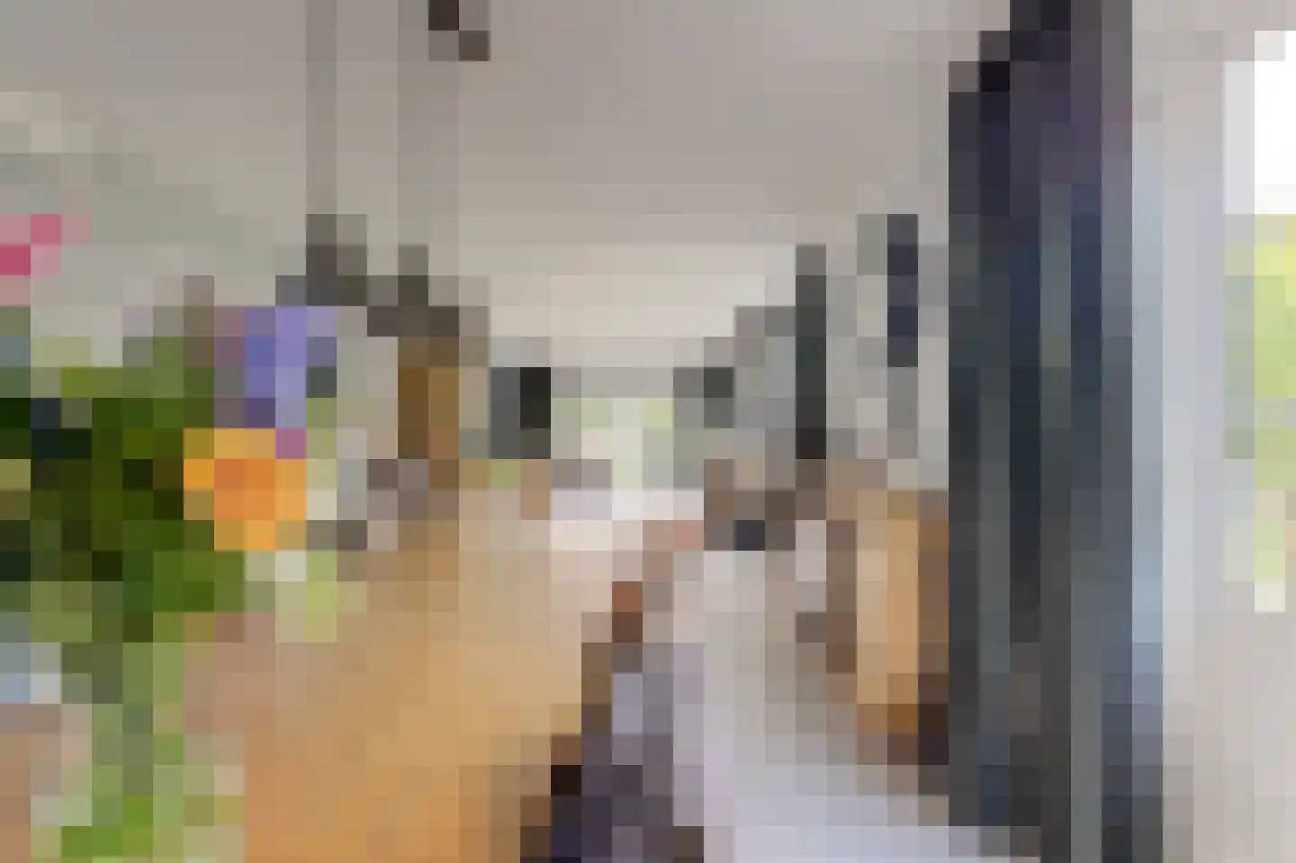 Mouwewei 8 Terwispel thumbnail 24