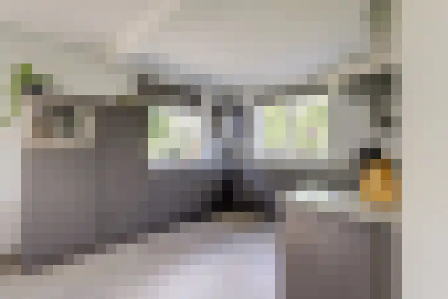 Mouwewei 8 Terwispel thumbnail 27
