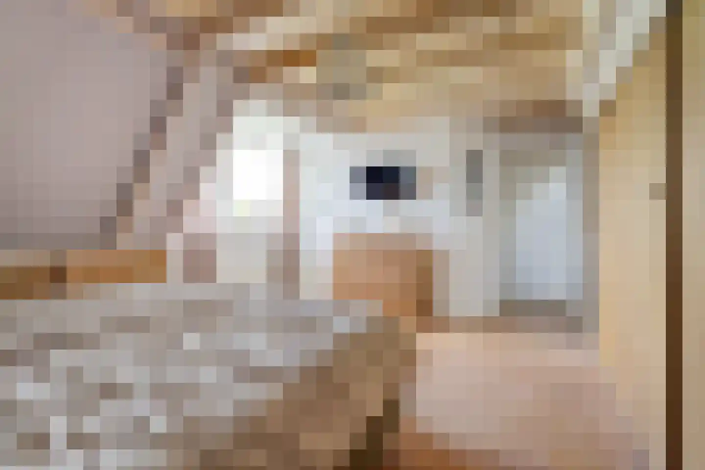Mouwewei 8 Terwispel thumbnail 36