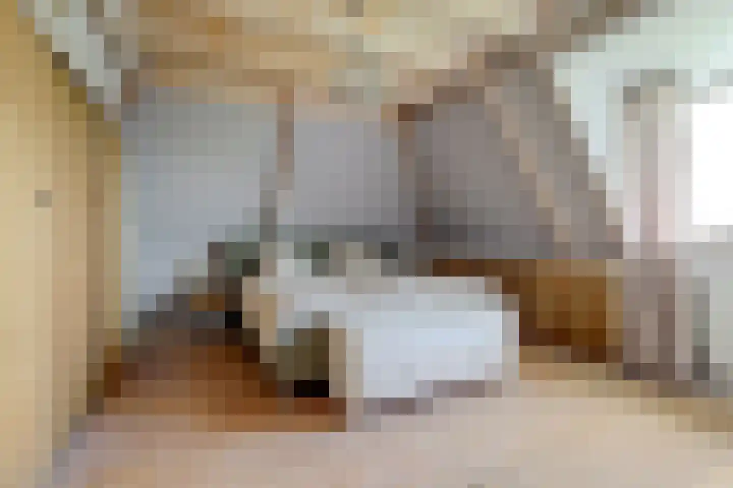 Mouwewei 8 Terwispel thumbnail 37