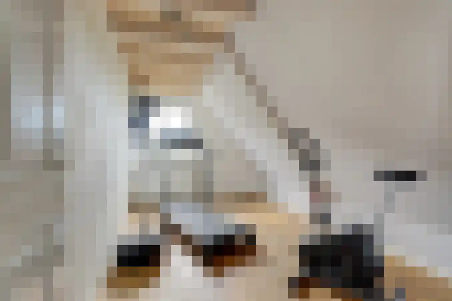 Mouwewei 8 Terwispel thumbnail 38