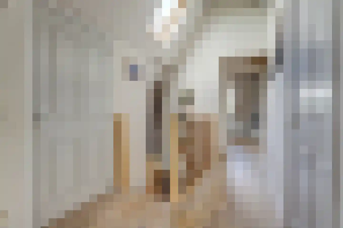 Mouwewei 8 Terwispel thumbnail 39