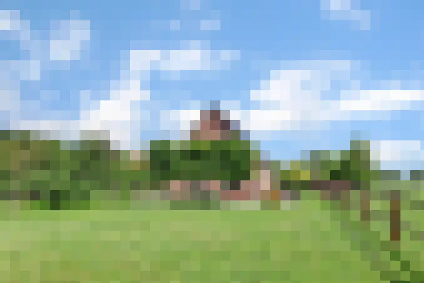 Mouwewei 8 Terwispel thumbnail 4