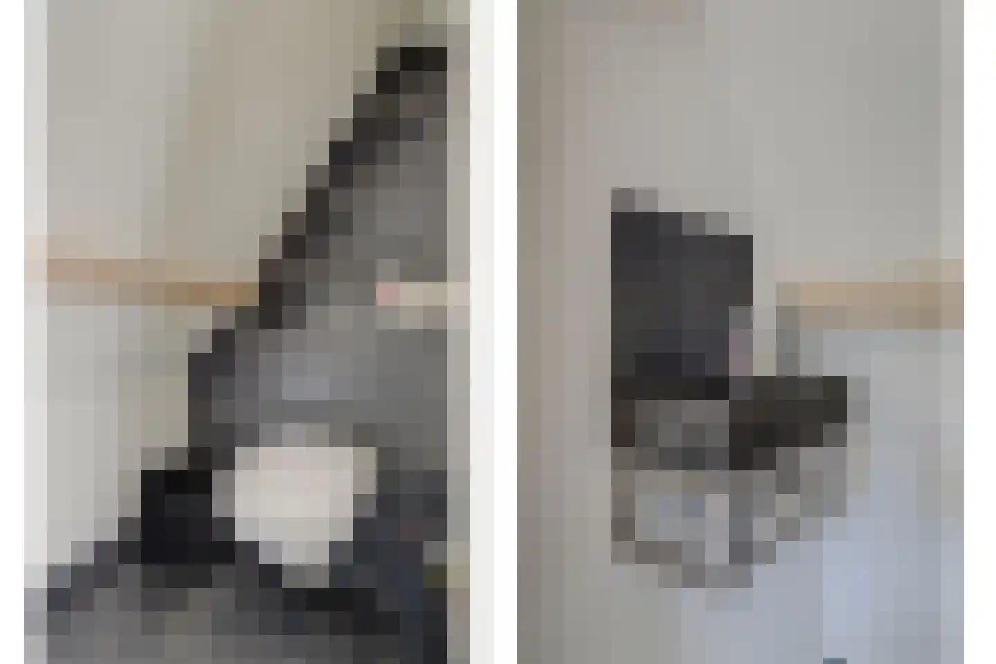 Mouwewei 8 Terwispel thumbnail 44