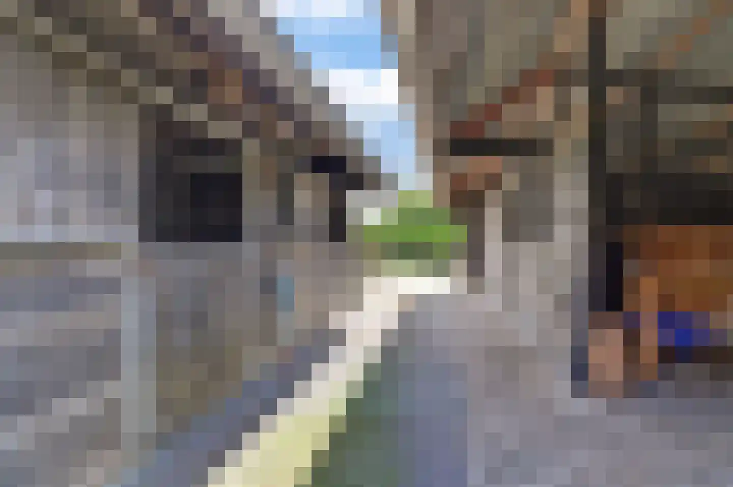 Mouwewei 8 Terwispel thumbnail 45
