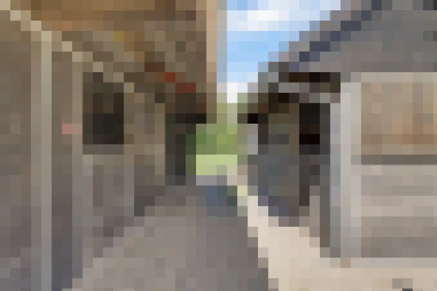 Mouwewei 8 Terwispel thumbnail 46