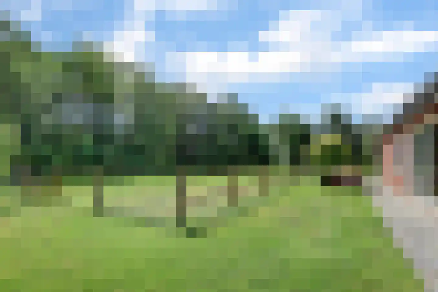 Mouwewei 8 Terwispel thumbnail 53