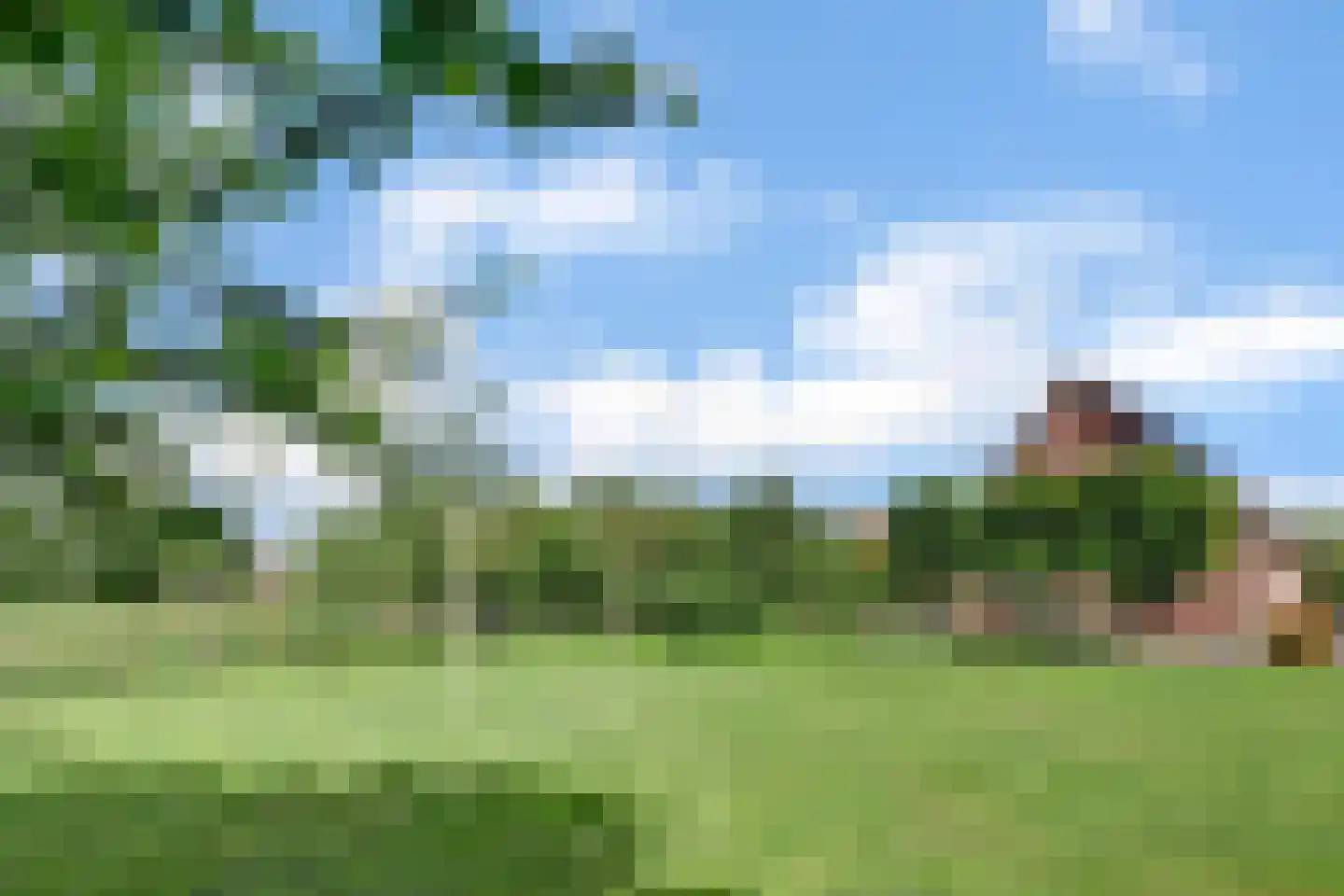 Mouwewei 8 Terwispel thumbnail 6