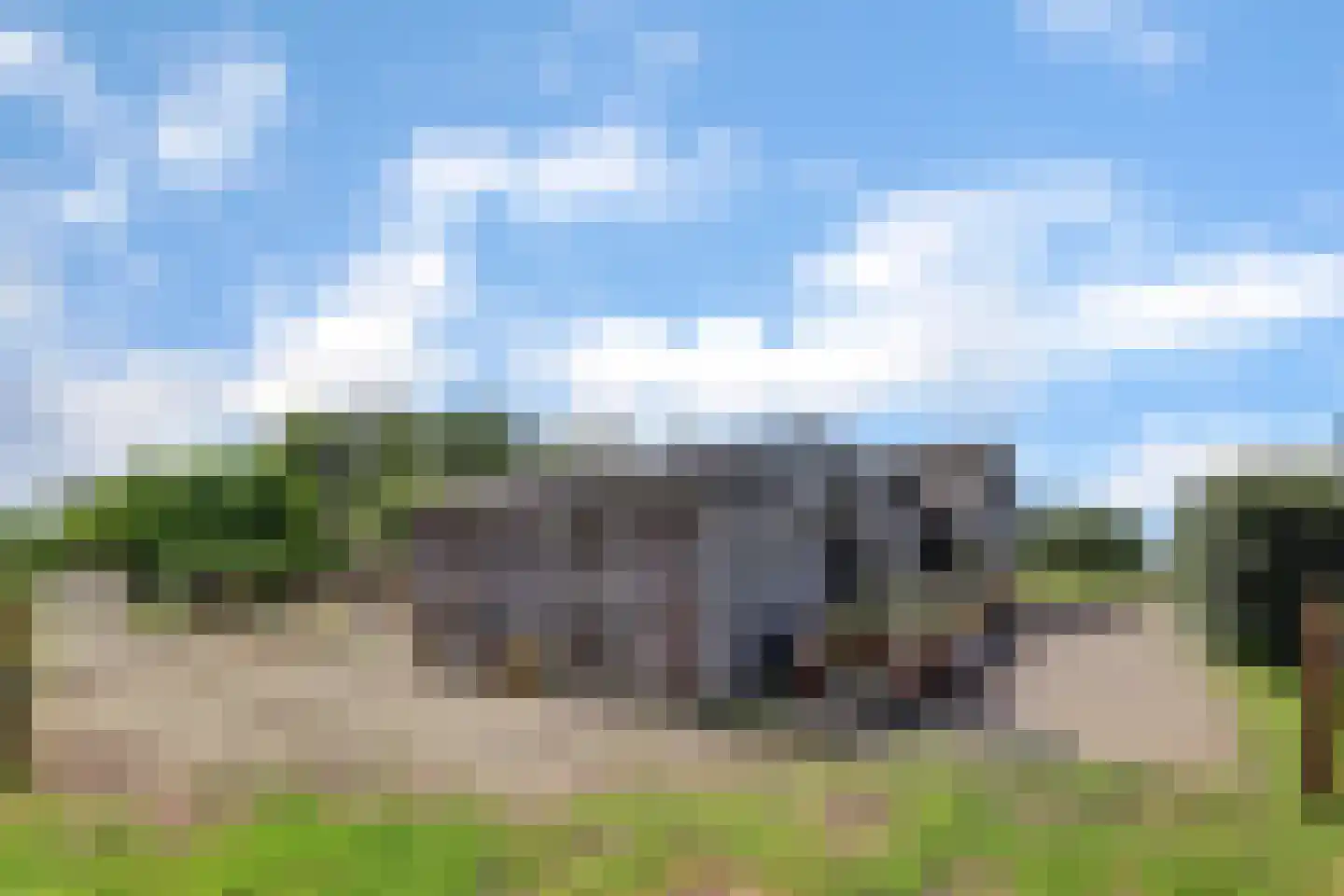 Mouwewei 8 Terwispel thumbnail 64