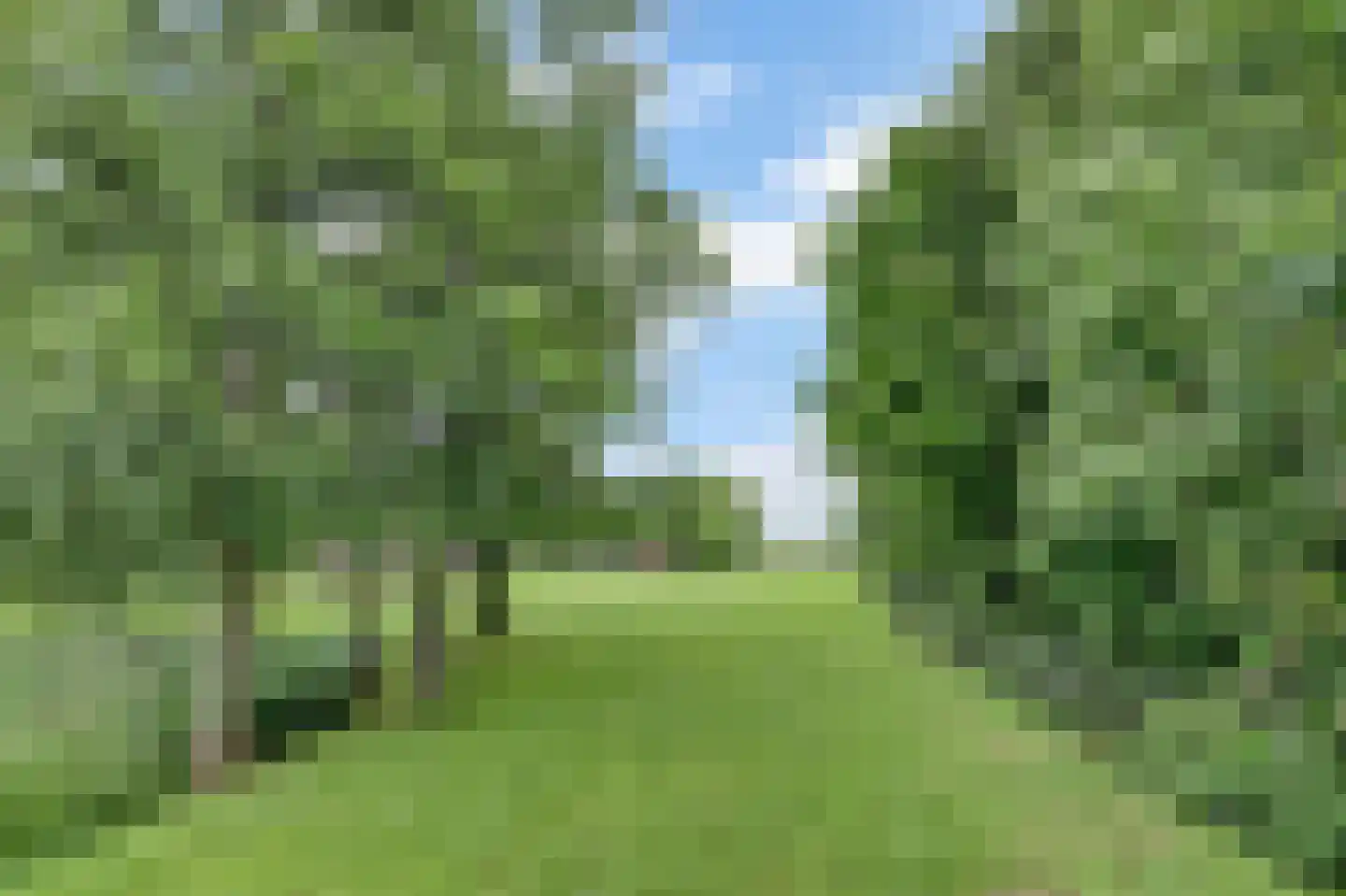 Mouwewei 8 Terwispel thumbnail 66