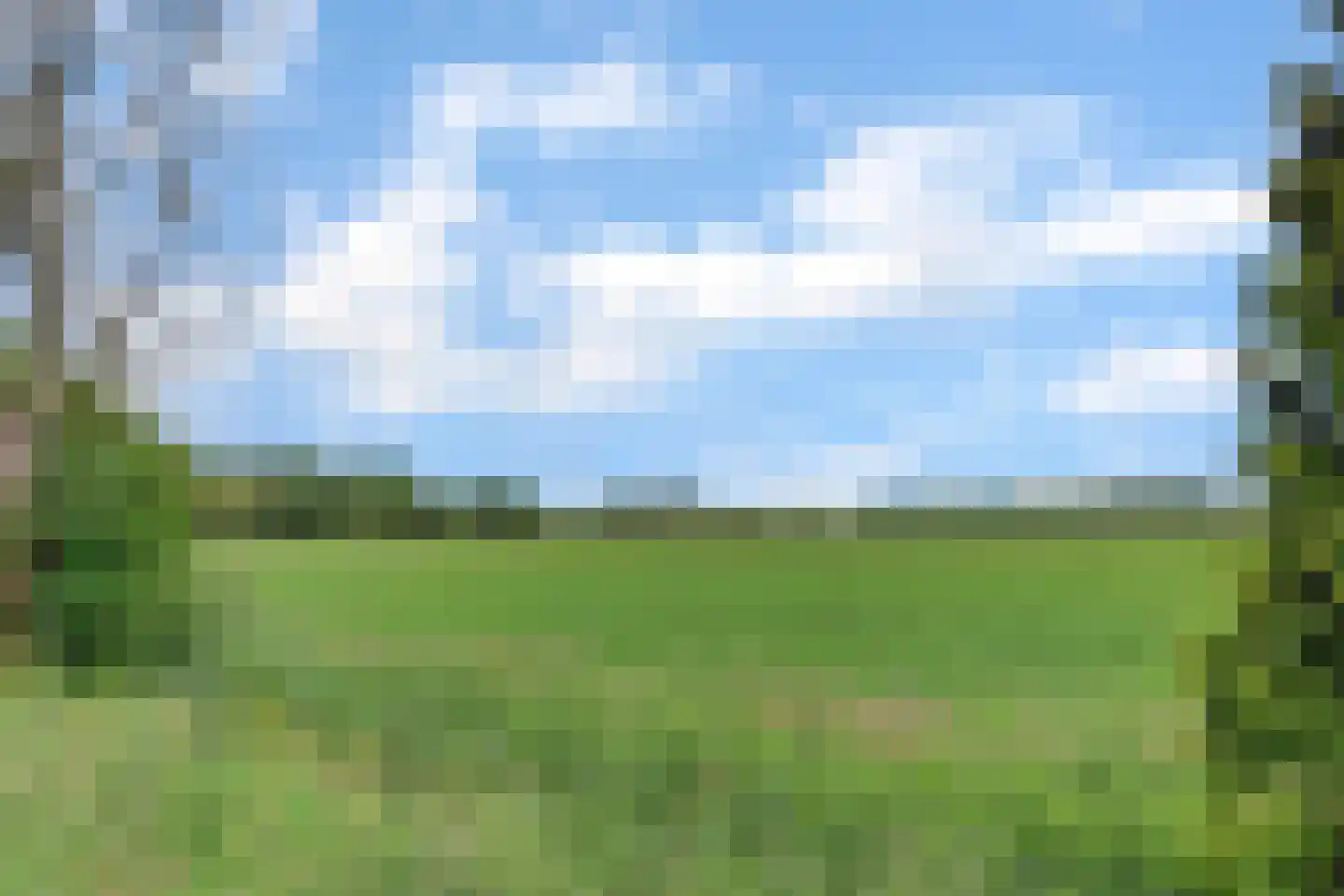 Mouwewei 8 Terwispel thumbnail 67