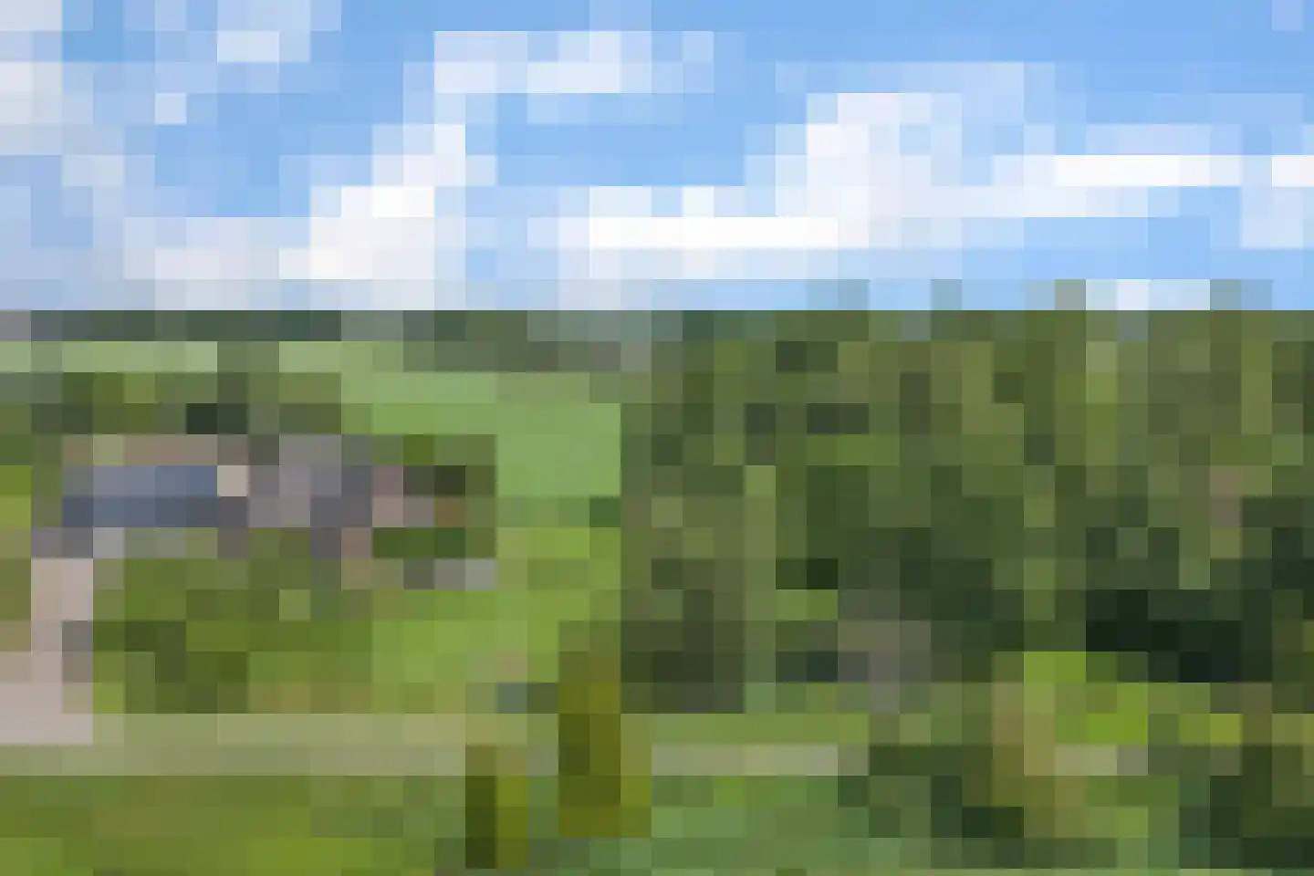 Mouwewei 8 Terwispel thumbnail 68