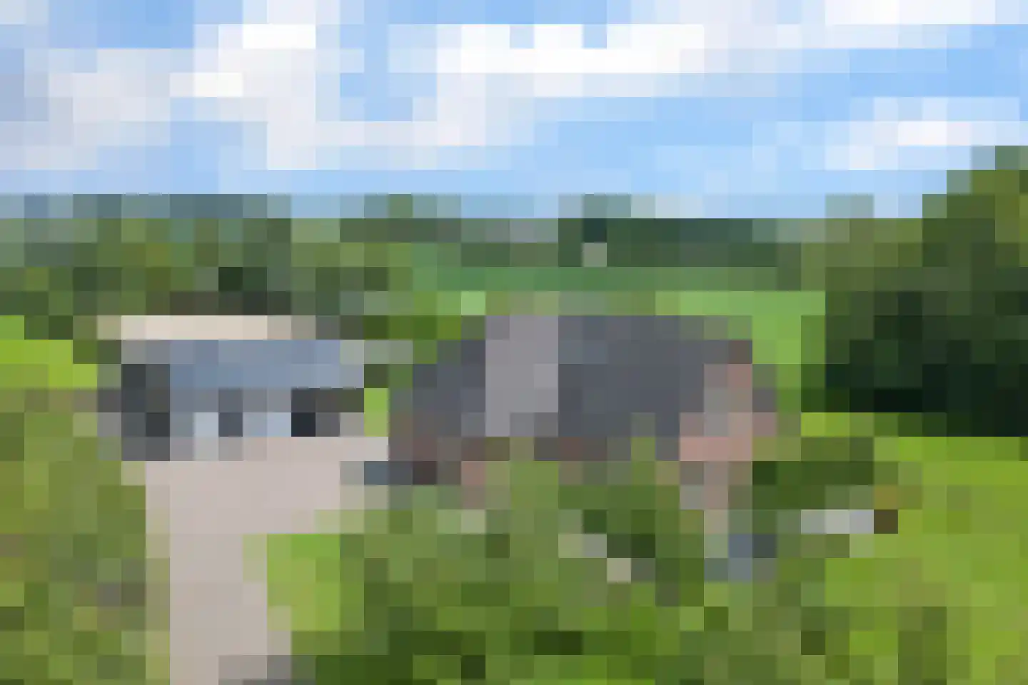 Mouwewei 8 Terwispel thumbnail 70