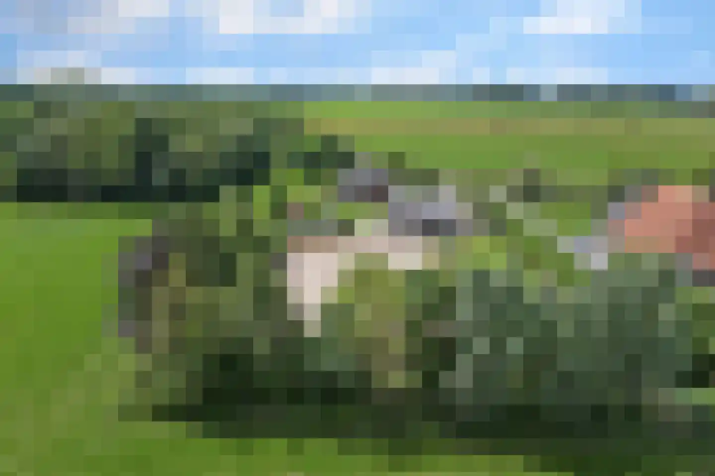 Mouwewei 8 Terwispel thumbnail 71