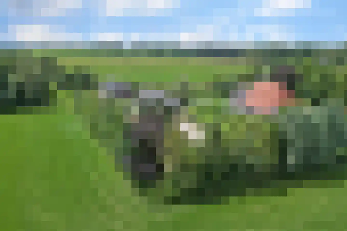 Mouwewei 8 Terwispel thumbnail 72