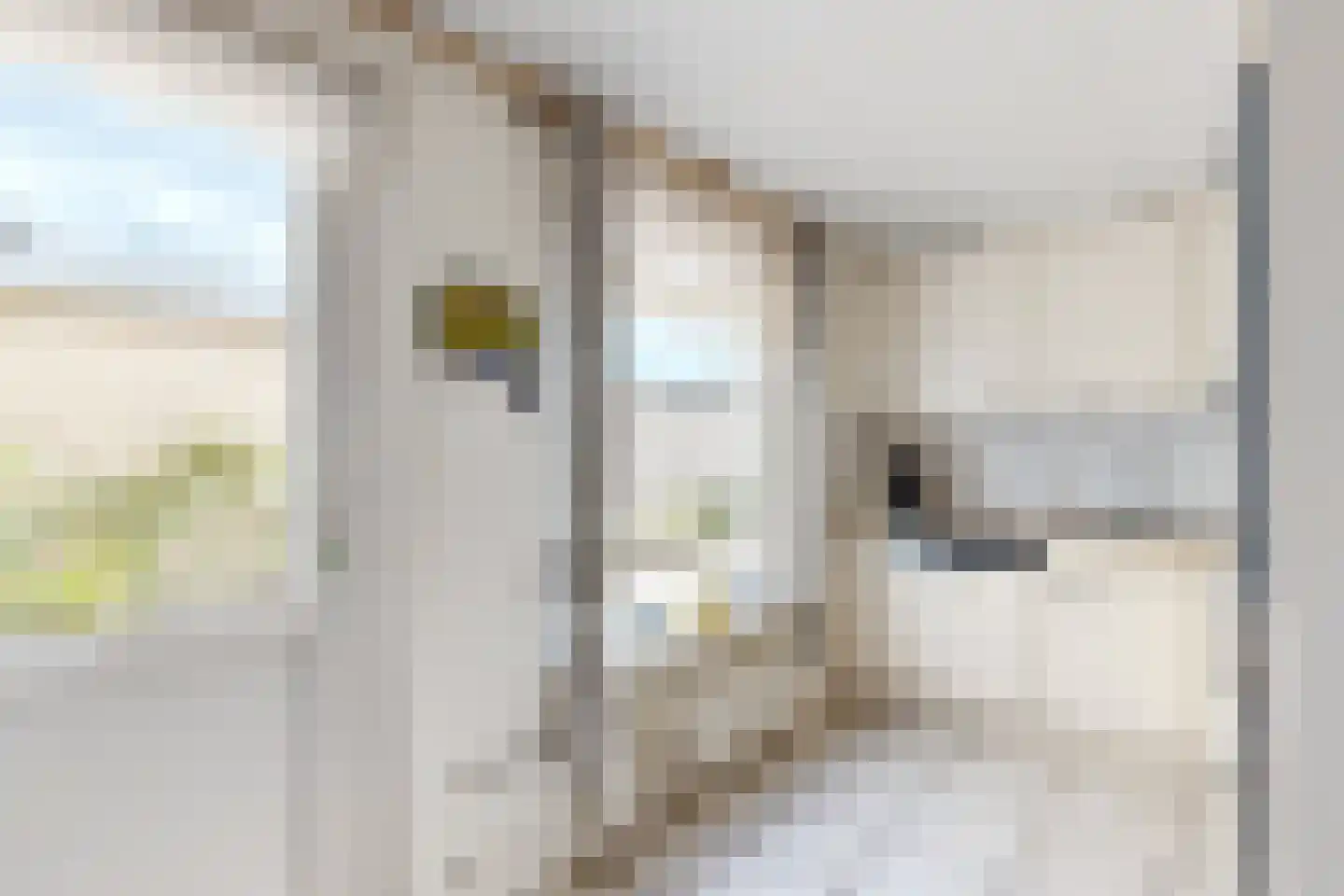 Moye Keene 113 Klundert thumbnail 24