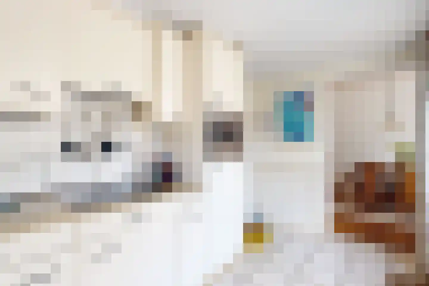 Moye Keene 113 Klundert thumbnail 25