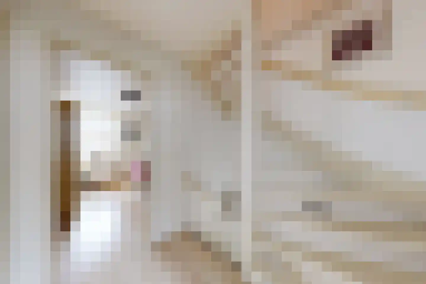 Moye Keene 113 Klundert thumbnail 27
