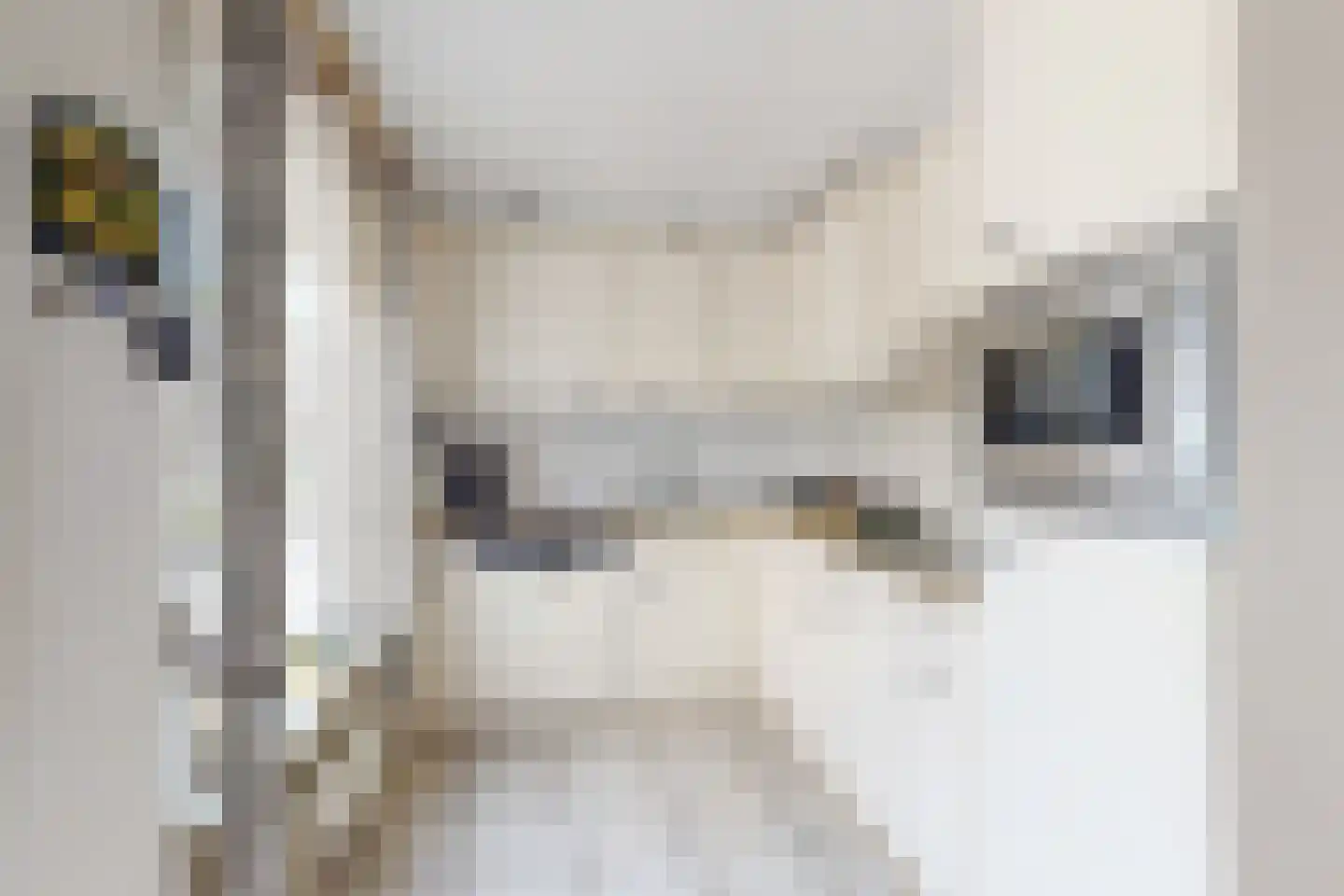 Moye Keene 113 Klundert thumbnail 4