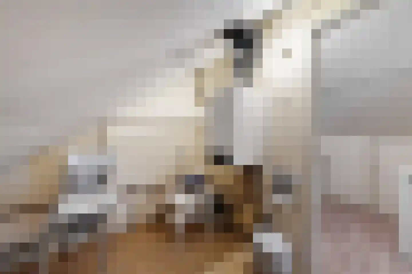 Moye Keene 113 Klundert thumbnail 41