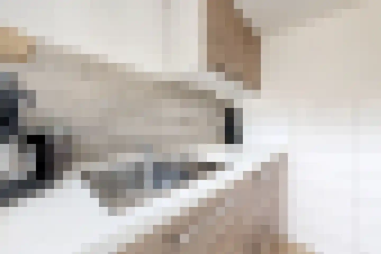 Moye Keene 63 Klundert thumbnail 37