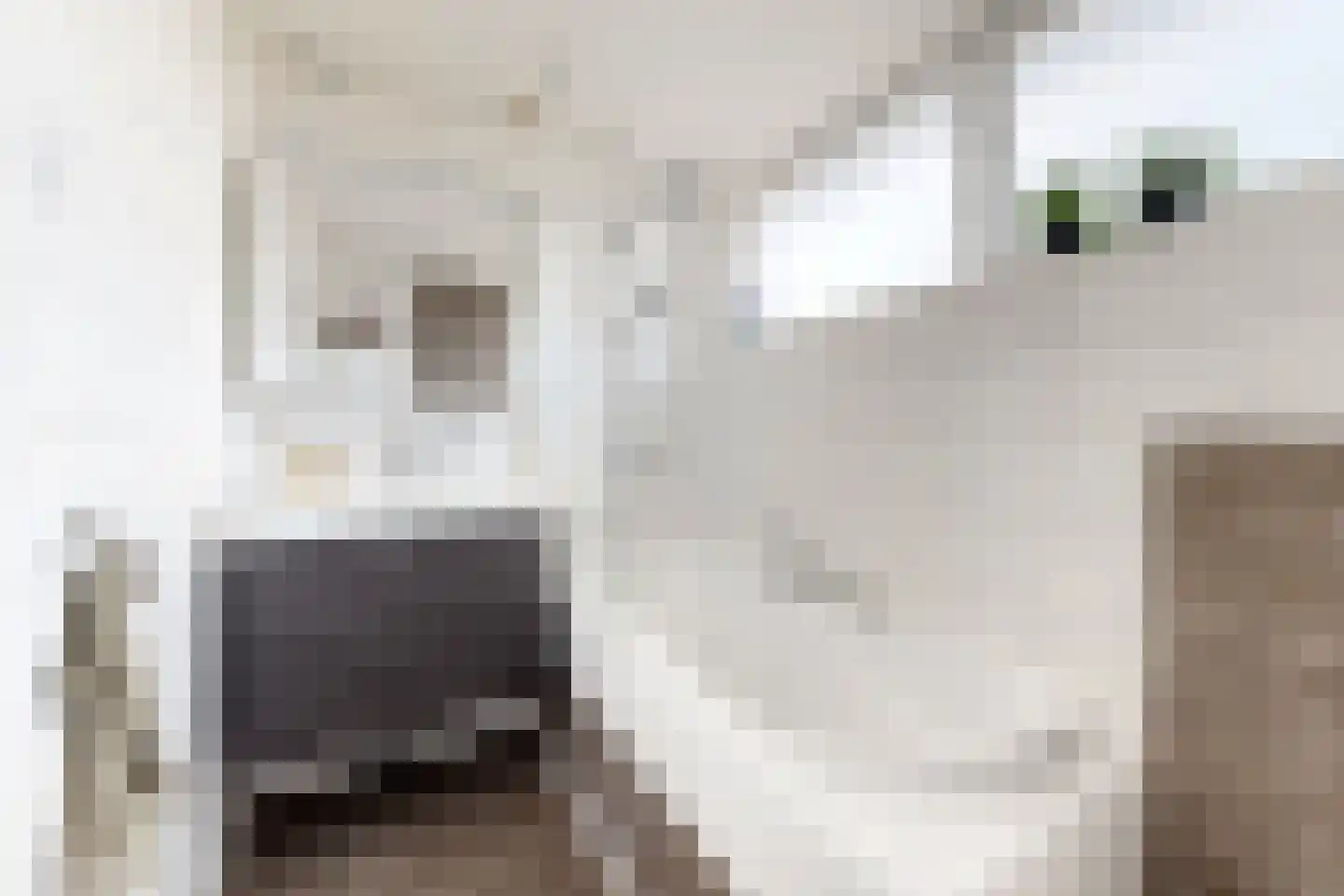 Moye Keene 63 Klundert thumbnail 54