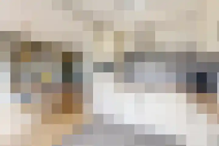 Moye Keene 76 Klundert thumbnail 20