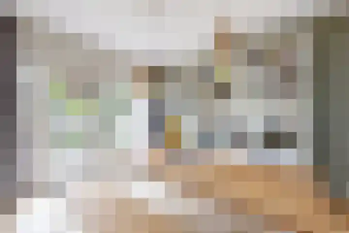 Moye Keene 76 Klundert foto 3