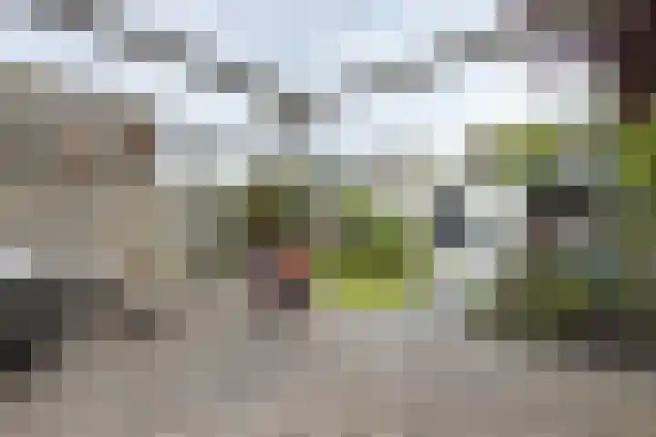 Moye Keene 76 Klundert thumbnail 53