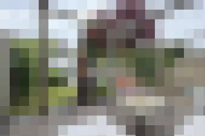 Moye Keene 76 Klundert thumbnail 54