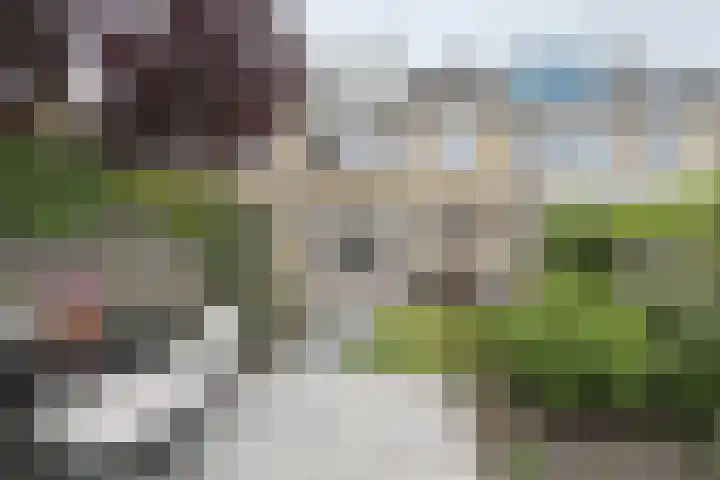 Moye Keene 76 Klundert thumbnail 55