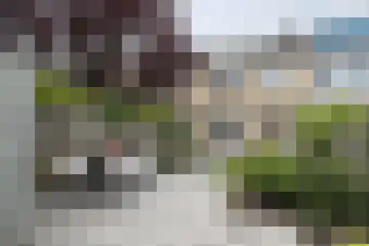 Moye Keene 76 Klundert thumbnail 56